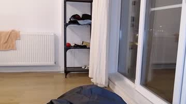 0_kingsley