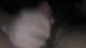 Recent Screenshot of  19ty