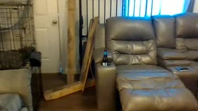 Recent Screenshot of  21yearsy0ung9icheshung