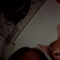 222kitty's Profile Picture