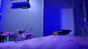 Recent Screenshot of  2dj420