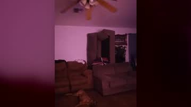 2playtease