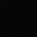 69s1ren's Profile Picture