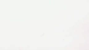 最近的截图 _ashleygarcia