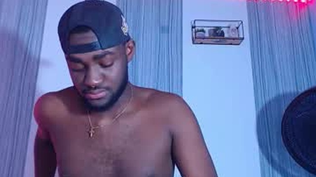 _black_stallion