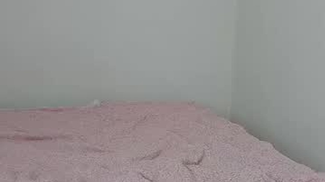 _candybb