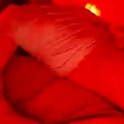 _chill_ll's Profile Picture