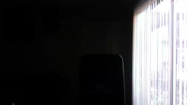 _exoticris_