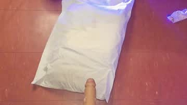 _kimikatt__