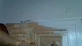 Aktueller Screenshot von _nightnursee