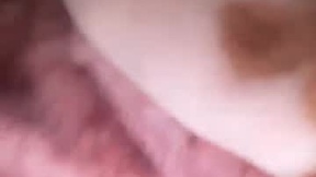 Recent Screenshot of  a787801