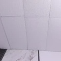 abby_novaa's Profile Picture