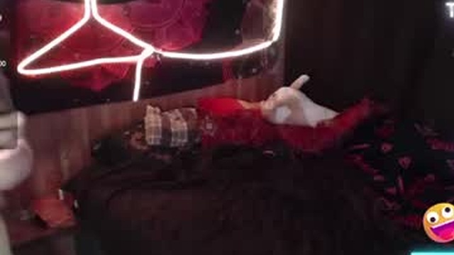 aimeebutton