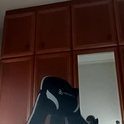 aitorortegagonzalez35's Profile Picture