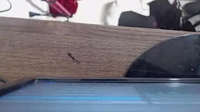 Recent Screenshot of  aleja_salazar