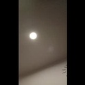 alex1vibe's Profile Picture