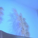alice_lacroux's Profile Picture