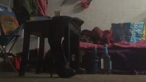 Recent Screenshot of  aliceleemcgee