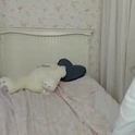 alisamonroe's Profile Picture