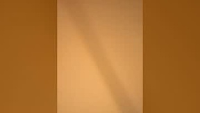 Recent Screenshot of  allaboutthefun13