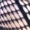 allbangzint's Profile Picture