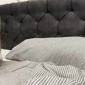 allyxgrey's Profile Picture