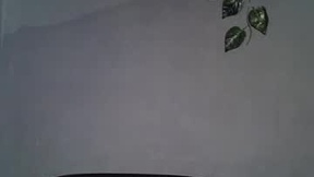 Recent Screenshot of  alosexy_bae