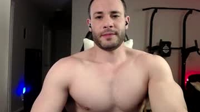 alpha_dominus_king