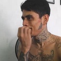 alpha_zom's Profile Picture
