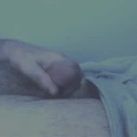 alphablue_wolf1295's Profile Picture