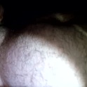 amadeusz's Profile Picture
