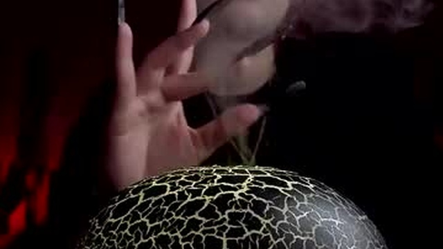 amanita__pantherina