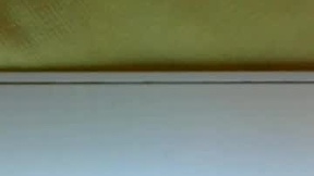 Recent Screenshot of  amberlixen