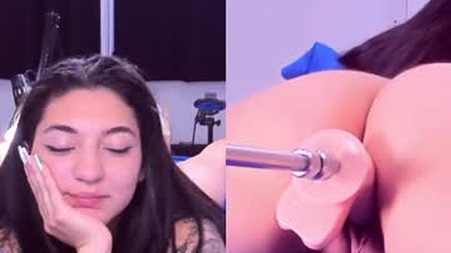amellia_rous