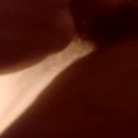 amer11201's Profile Picture