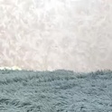 amoremeoww's Profile Picture