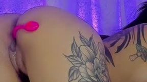 Recent Screenshot of  amypalmmer_