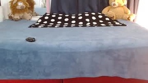 最近的截图 anabella_04