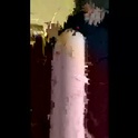 ananikol333's Profile Picture