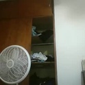 andrearuba2's Profile Picture