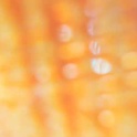 angeles_blue23's Profile Picture