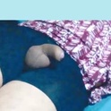 angelman200's Profile Picture