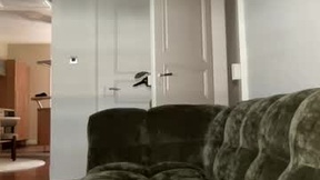 Screenshot Recente di angelpussycatt
