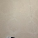 annabeleshow's Profile Picture