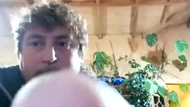 antonyqui