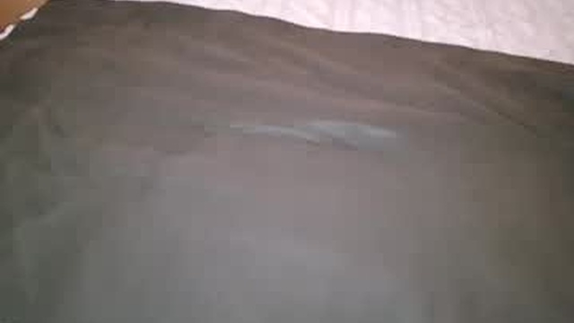 ara_daira