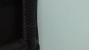 Recent Screenshot of  ariadna_6