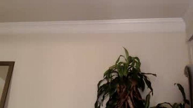 ashleystarxxx01