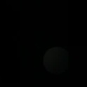 asianreignx's Profile Picture