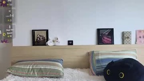 Recent Screenshot of  asterross